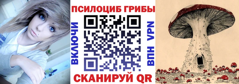 Купить  Болотное  Псилоцибиновые грибы Psilocybe 