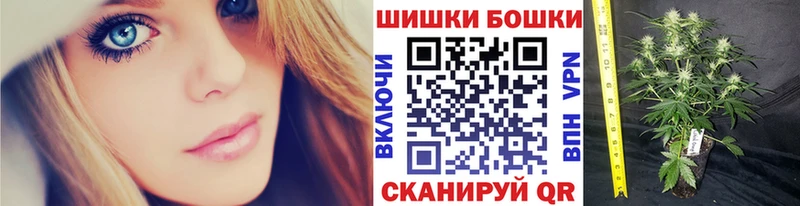 Купить где  Болотное  Шишки марихуана Ganja 